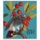 Зошит Школярик Birds 60 аркушів клітинка (060-3410K)