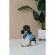Жилет для тварин Pet Fashion Grass S (4823082435937)