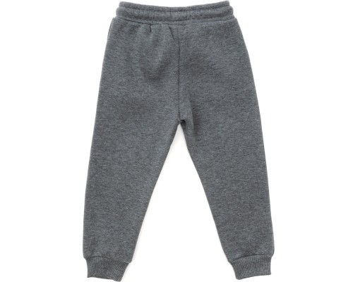 Штани дитячі Cloise спортивні флісові (CL0155019-152B-gray)