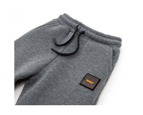 Штани дитячі Cloise спортивні флісові (CL0155019-152B-gray)