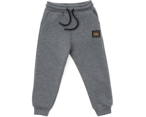Штани дитячі Cloise спортивні флісові (CL0155019-152B-gray)