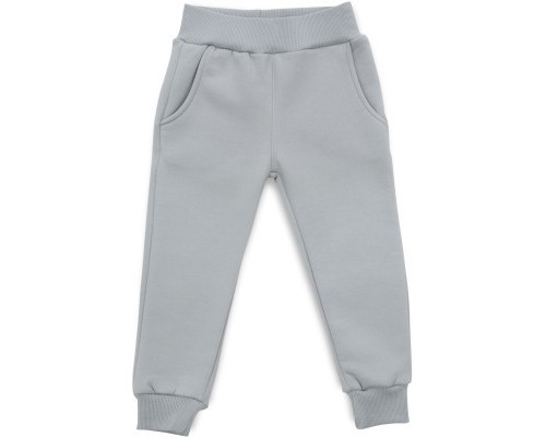 Спортивний костюм дитячий Smile флисовий (8126-92B-blue)