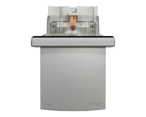 Розетка Schneider Electric ASFORA з кришкою IP44, алюміній (EPH3100361)
