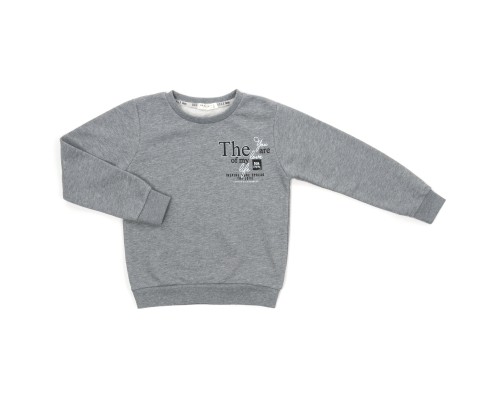 Кофта дитяча Breeze базова (19506-152B-gray)