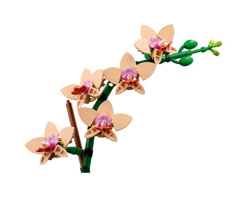 Конструктор LEGO Botanicals Міні орхідея (10343)