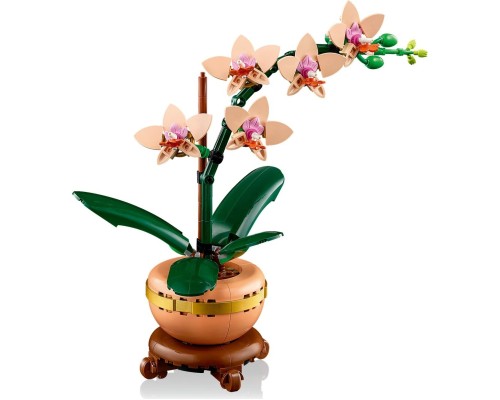 Конструктор LEGO Botanicals Міні орхідея (10343)