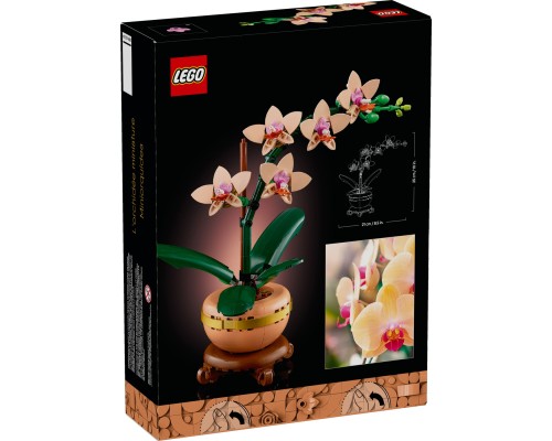 Конструктор LEGO Botanicals Міні орхідея (10343)