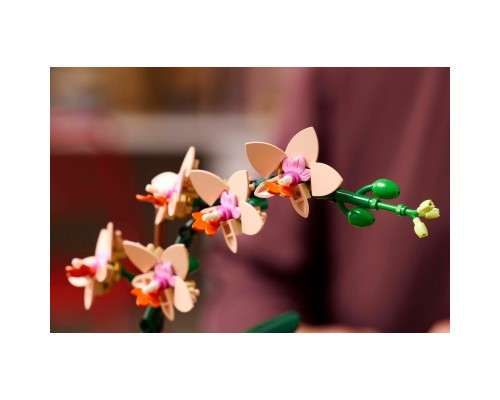 Конструктор LEGO Botanicals Міні орхідея (10343)