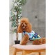 Жилет для тварин Pet Fashion Grass XS (4823082435913)