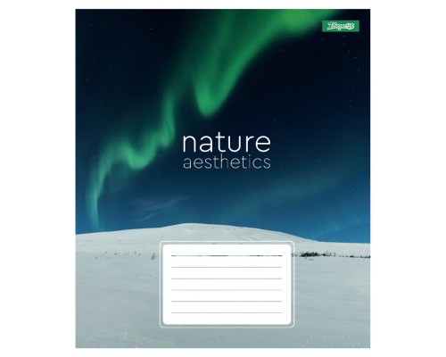 Зошит 1 вересня Nature aestheticsА5 48 аркушів клітинка (768104)