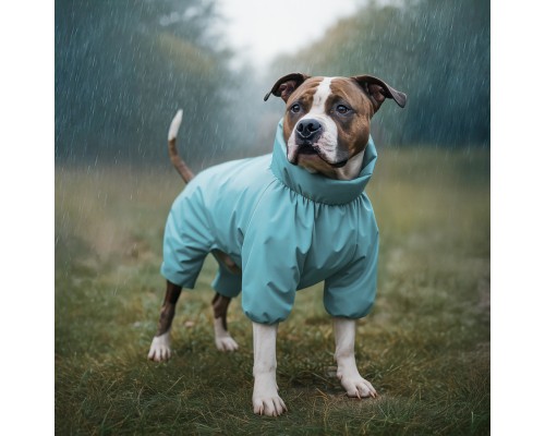 Дощовик для тварин WAUDOG Clothes водонепроникний S32 блакитний (19842)