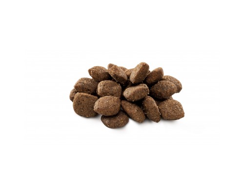 Сухий корм для собак Brit Premium Dog Sensitive Lamb 3 кг (8595602526628) Сухий корм для собак Brit Premium Dog Sensitive Lamb 3 кг (8595602526628)