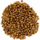 Сухий корм для кішок Savory Kitten Chicken with Fresh Turkey 400 г (4820232630136)