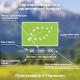 Дитяча каша Fleur Alpine Organic Oat Вівсяна 175 г (4779050670131)