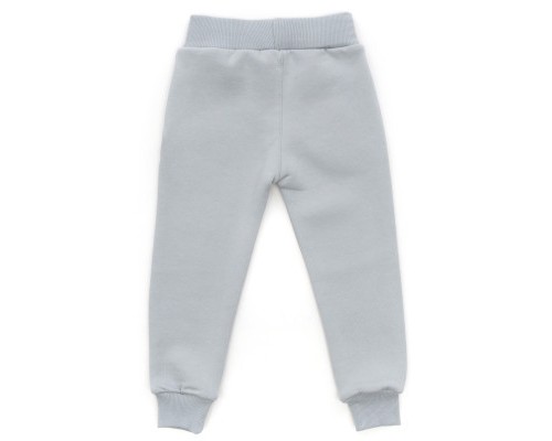 Спортивний костюм дитячий Smile флисовий (8126-98B-blue)