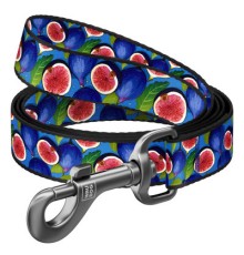 Повідок для собак WAUDOG Nylon 