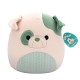 М'яка іграшка Squishmallows Бульдог Августін 30 см (SQCR06691)