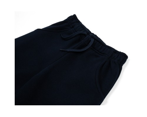 Штани дитячі Breeze спортивні утеплені (19466-164B-blue)