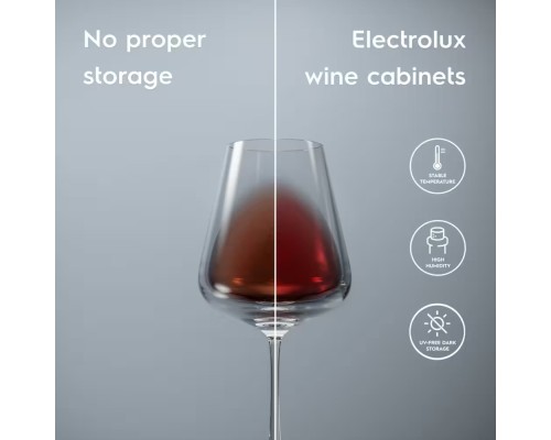 Холодильник Electrolux EWUS020B5B