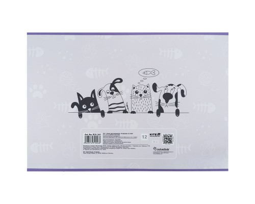 Альбом для малювання Kite Rachael Hale, 12 аркушів (R25-241)