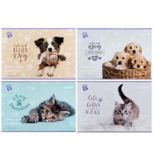 Альбом для малювання Kite Rachael Hale, 12 аркушів (R25-241)