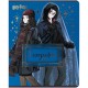 Зошит Kite предметний Harry Potter 48 аркуші, клітинка, географія (HP25-240-5)