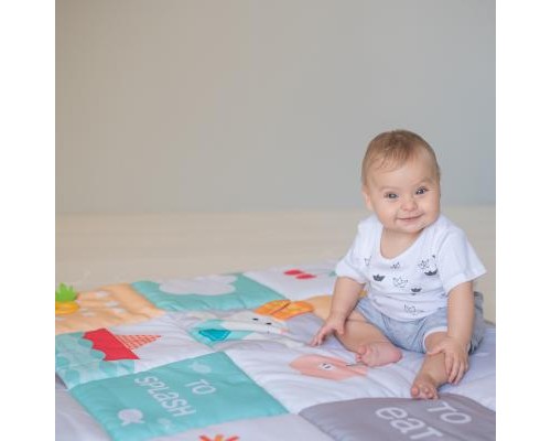 Дитячий килимок Taf Toys Мои увлечения (12175)