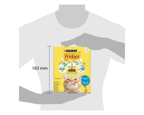 Сухий корм для кішок Purina Friskies зі смаком лосося й овочів 300 г (7613031868063)