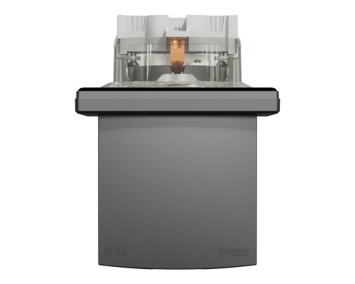 Розетка Schneider Electric ASFORA з кришкою, IP44, антрацит (EPH3100371)