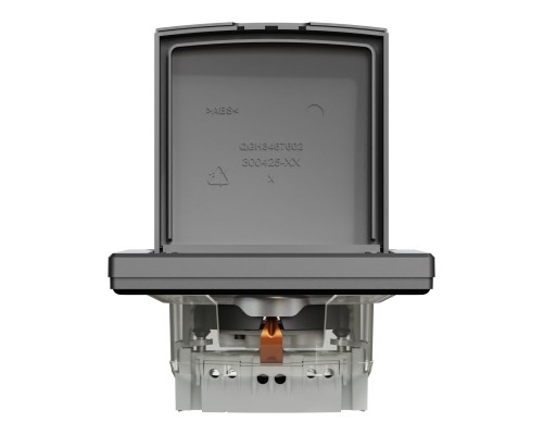 Розетка Schneider Electric ASFORA з кришкою, IP44, антрацит (EPH3100371)