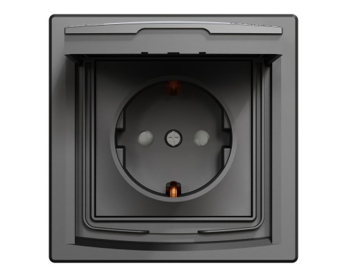 Розетка Schneider Electric ASFORA з кришкою, IP44, антрацит (EPH3100371)