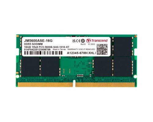 Модуль пам'яті для ноутбука SoDIMM DDR5 16GB 5600 MHz JetRam Transcend (JM5600ASE-16G)