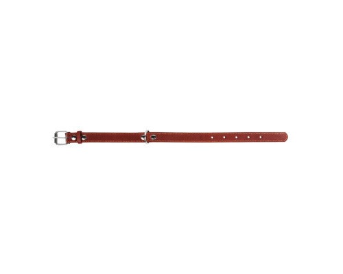 Нашийник для тварин Collar одинарний Ш 25 мм Д 38-50 см коричневий (02196)