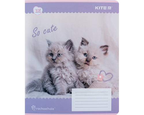Зошит Kite Rachael Hale 12 аркушів, лінія (R24-234)
