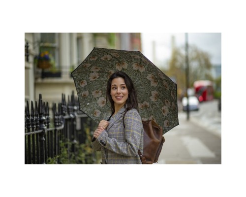 Парасоля Fulton L856-041062 Morris & Co. Bloomsbury Pimpernel Bayleaf Manilla (L856-041062)