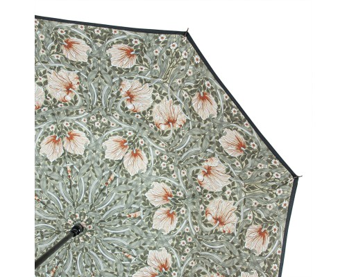 Парасоля Fulton L856-041062 Morris & Co. Bloomsbury Pimpernel Bayleaf Manilla (L856-041062)
