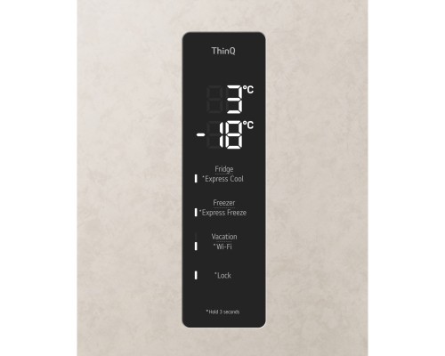 Холодильник LG GC-B509FEMW