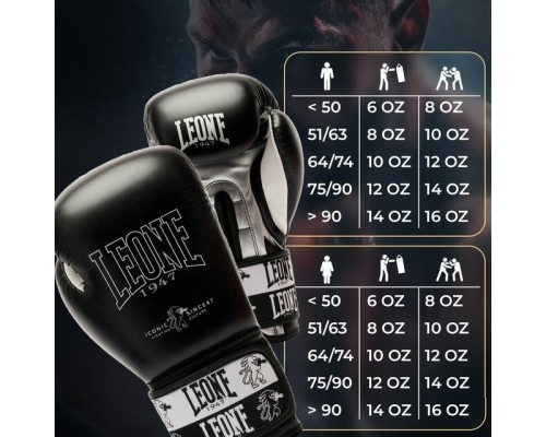Боксерські рукавички Leone GN208 Iconic Black 14 унцій (GN208_Black_14oz)