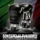 Боксерські рукавички Leone GN208 Iconic Black 14 унцій (GN208_Black_14oz)