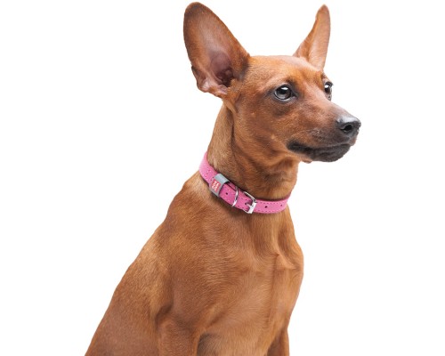 Нашийник для тварин WAUDOG Classic шкіряний 12 мм х 21-29 см рожевий (02027)