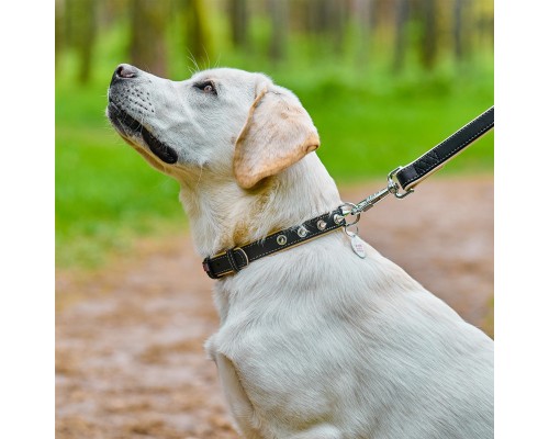 Нашийник для тварин WAUDOG Soft з QR паспортом з шипами Ш 20 мм Д 30-39 см чорний (7192)