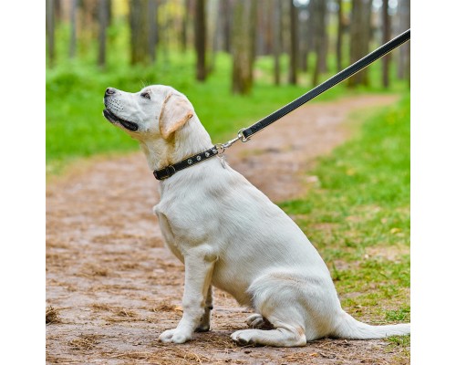 Нашийник для тварин WAUDOG Soft з QR паспортом з шипами Ш 20 мм Д 30-39 см чорний (7192)