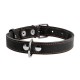 Нашийник для тварин Collar одинарний Ш 25 мм Д 38-50 см чорний (02191)