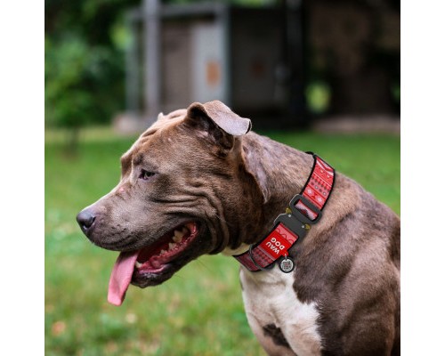 Нашийник для тварин WAUDOG Nylon з QR паспортом 