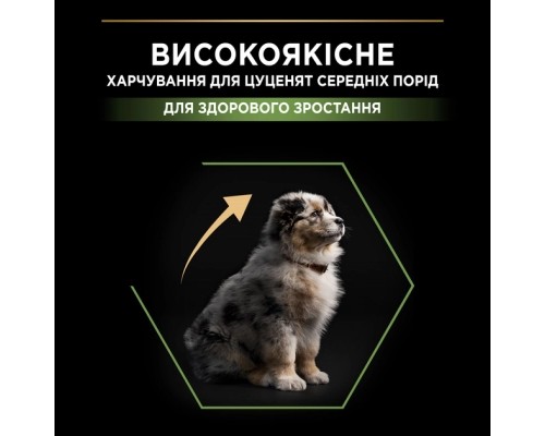 Сухий корм для собак Purina Pro Plan Dog Medium Puppy з високим вмістом курки 12 кг (7613035120402) Сухий корм для собак Purina Pro Plan Dog Medium Puppy з високим вмістом курки 12 кг (7613035120402)