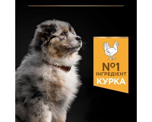 Сухий корм для собак Purina Pro Plan Dog Medium Puppy з високим вмістом курки 12 кг (7613035120402) Сухий корм для собак Purina Pro Plan Dog Medium Puppy з високим вмістом курки 12 кг (7613035120402)