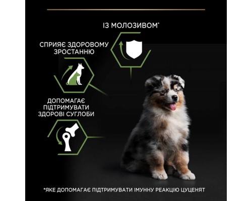 Сухий корм для собак Purina Pro Plan Dog Medium Puppy з високим вмістом курки 12 кг (7613035120402) Сухий корм для собак Purina Pro Plan Dog Medium Puppy з високим вмістом курки 12 кг (7613035120402)