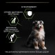 Сухий корм для собак Purina Pro Plan Dog Medium Puppy з високим вмістом курки 12 кг (7613035120402)