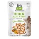 Вологий корм для кішок Brit Care Cat Fillets in Gravy Choice Chicken філе в соусі з куркою 85 г (8595602565320)