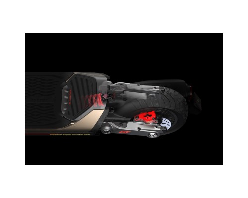 Електросамокат Segway Ninebot GT2P, чорний (AA.00.0012.65)